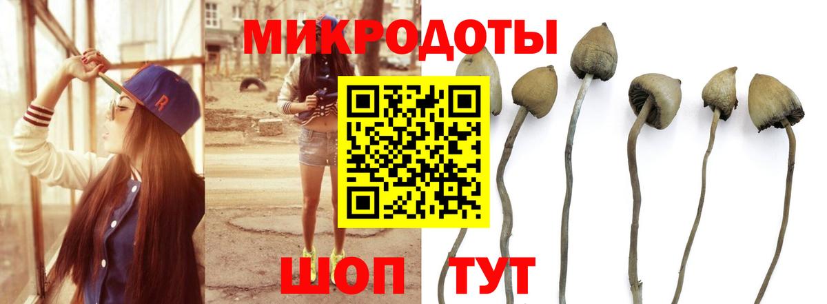 Артём  Псилоцибиновые грибы Magic Shrooms  Псилоцибиновые грибы Psilocybine cubensis  Вход с VPN 
